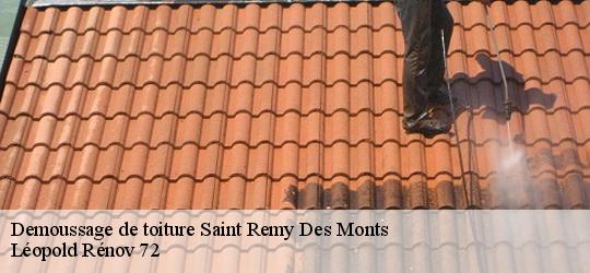 Demoussage de toiture  saint-remy-des-monts-72600 Léopold Rénov 72