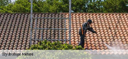 Hydrofuge toiture  boesse-le-sec-72400 Léopold Rénov 72