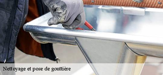 Nettoyage et pose de gouttière  le-lude-72800 Léopold Rénov 72