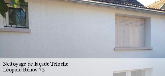 Nettoyage de façade  teloche-72220 Léopold Rénov 72