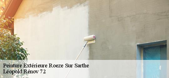 Peinture Extérieure  roeze-sur-sarthe-72210 Léopold Rénov 72