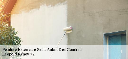 Peinture Extérieure  saint-aubin-des-coudrais-72400 Léopold Rénov 72